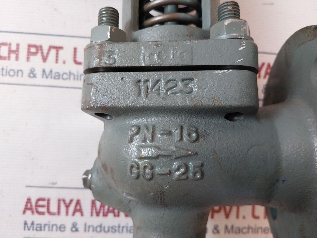 Vyc Dn X Safety Valve With Spring Loading Aeliya Marine