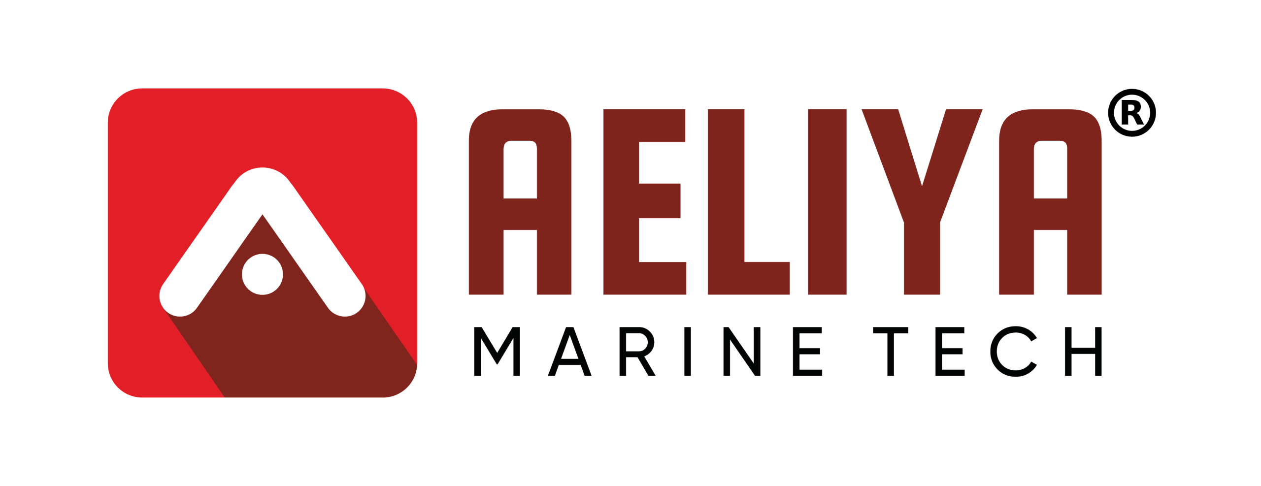 Aeliya Marine Tech Pvt. Ltd.
