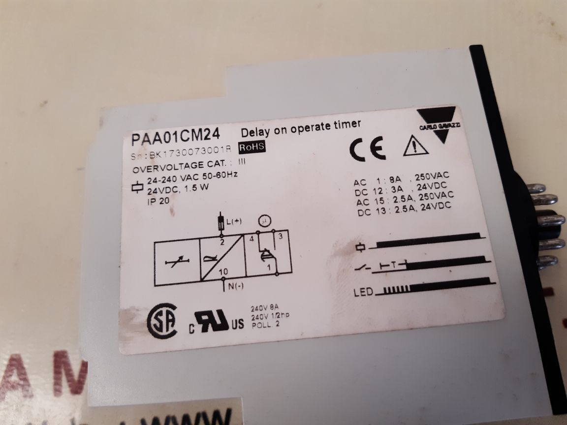 CARLO GAVAZZI PAA01CM24 DELAY ON OPERATE TIMER