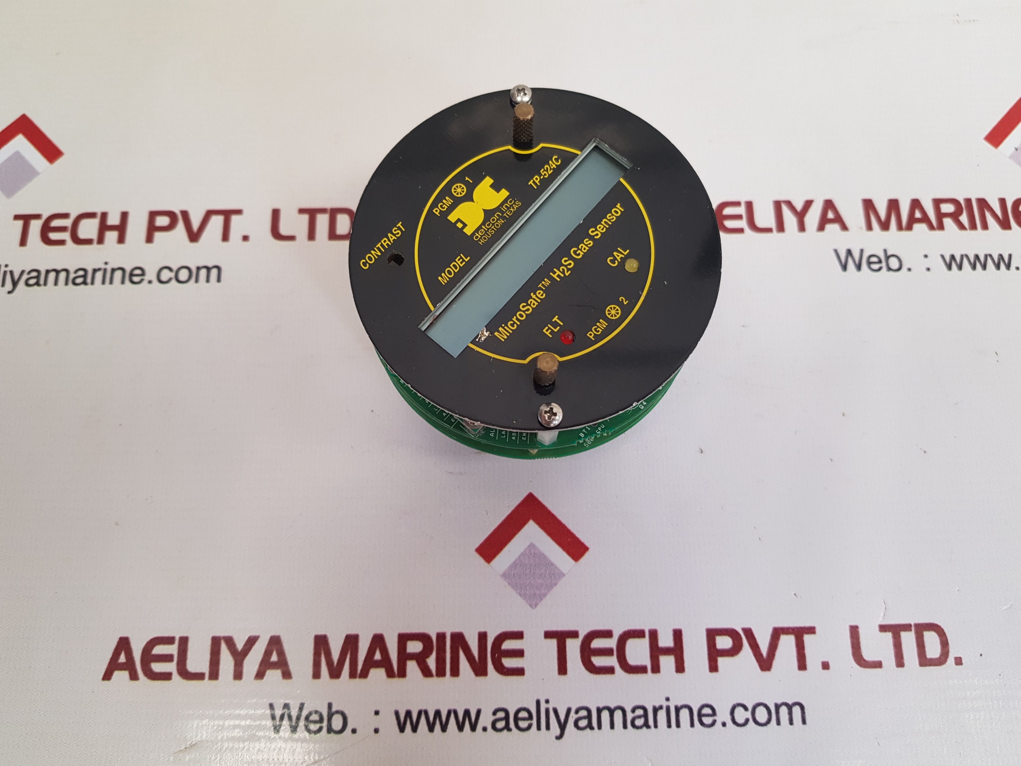 DETCON TP-524C MICROSAFE H2S GAS SENSOR