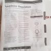 SPEEDAIRE 4ZM19 REGULATOR 300 PSIG