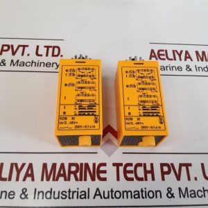 SELECTRON RZIB 30 TIME RELAY