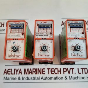 BIRCHER TZMP TIME RELAY 220V