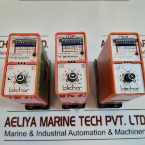 BIRCHER TZMP TIME RELAY 220V