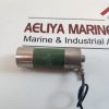EBG ESP62/20 INVERTER CHARGING RESISTOR 15RJ