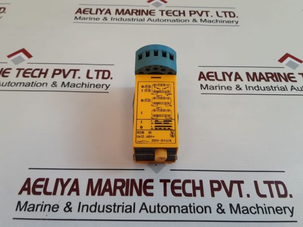 SELECTRON RZIB 30 TIMER RELAY