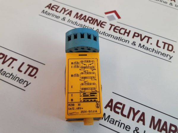 SELECTRON RZIB 30 TIMER RELAY