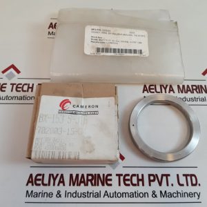 CAMERON BX-153 S-316 GASKET RING