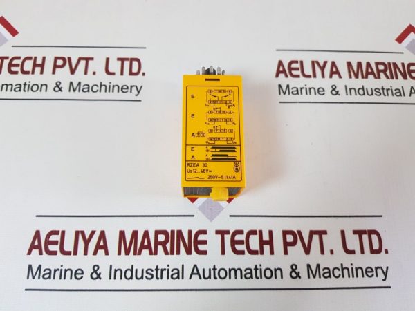 Selectron Rzea 30 Time Relay