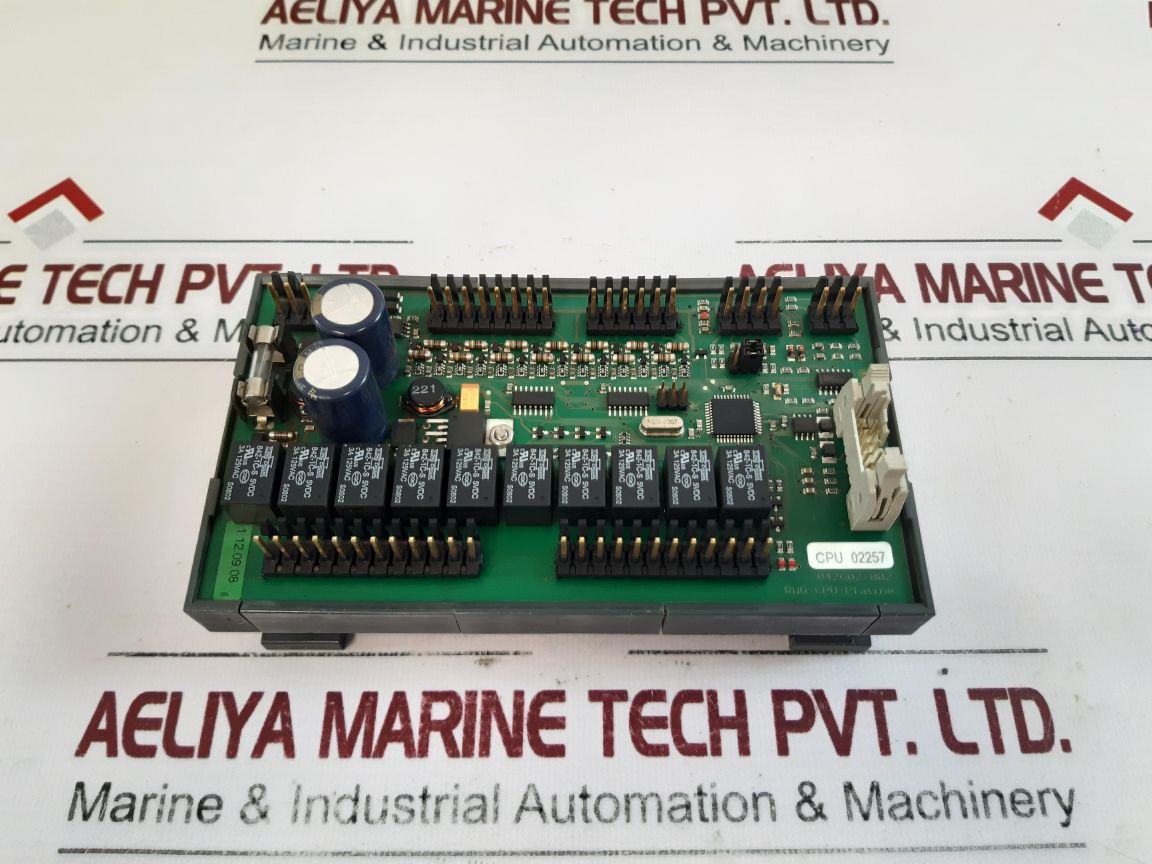 Rwo-cpu-platine 042602-002 Cpu Module - Aeliya Marine