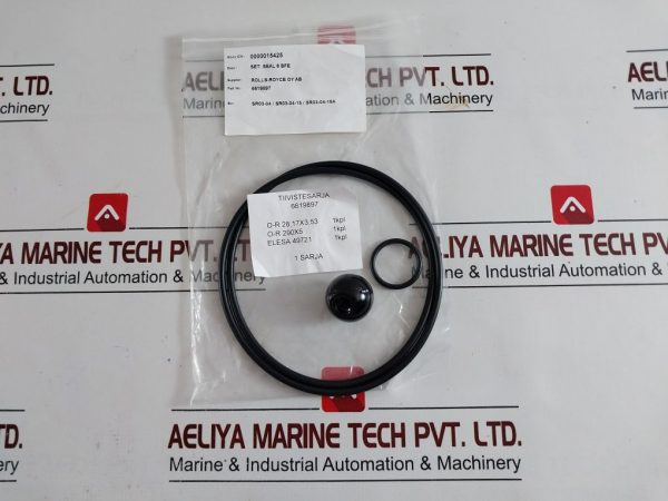 6619897 SEAL KIT