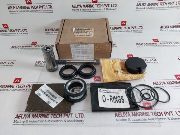 Cameron J025177-10274 Repair Kit