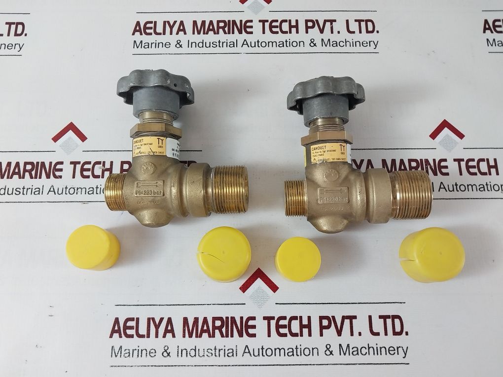 Vanne Vscp9 Frame Check Valve - Image 3