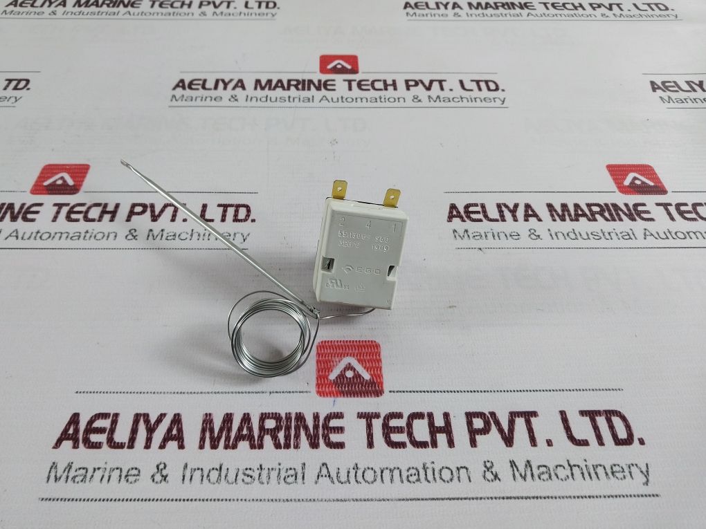 Ego 55.13069.960 Thermostat - Image 4