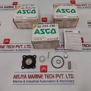Asco Fv-158811 Rebuild Kit