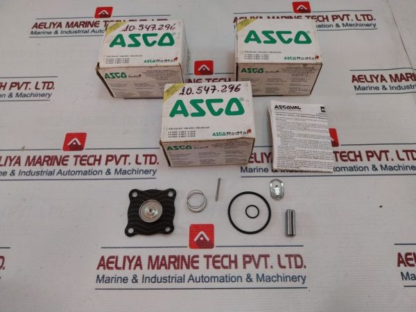 Asco Fv-158811 Rebuild Kit