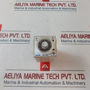 Bigm Tm-48s Timer 0-6 Sec