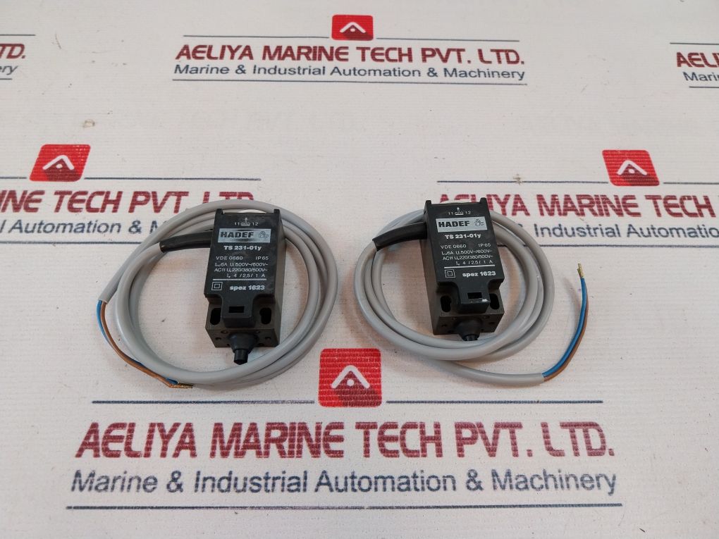 Hadef Ts 231-01y Limit Switch Ip65 - Image 14
