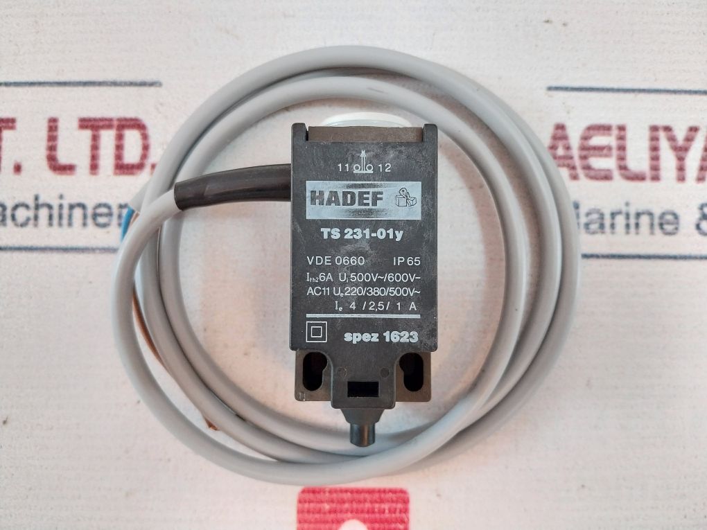 Hadef Ts 231-01y Limit Switch Ip65 - Image 7