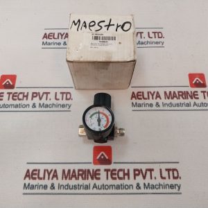 Puqi99628 Pressure Gauge