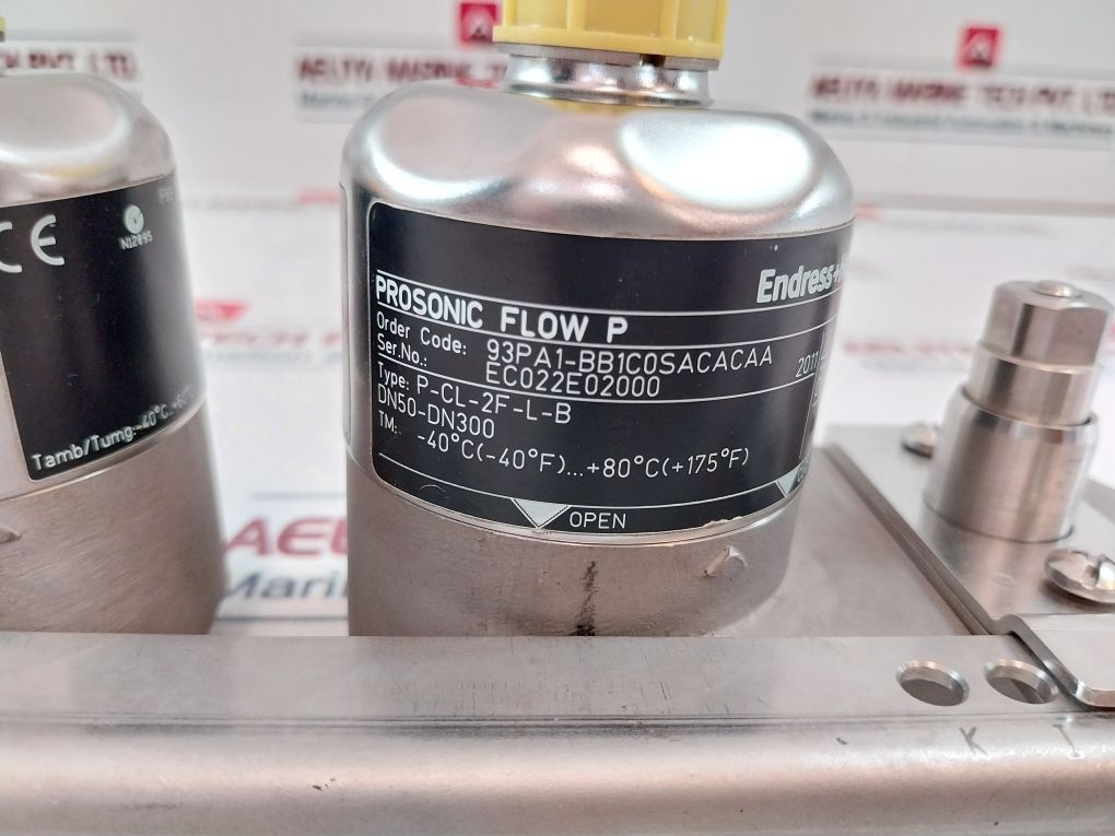 Endress+hauser Prosonic Flow P P-cl-2f-l-b Ultrasonic Flow Sensor Ip68 - Image 13