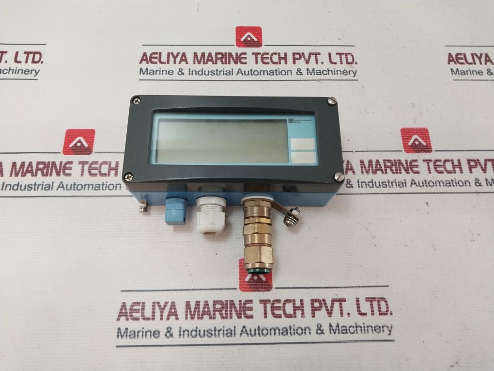 Endress+hauser Ria 261 Process Display T00978f5