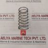 Iron Pump 83 Valve Spring-discharge