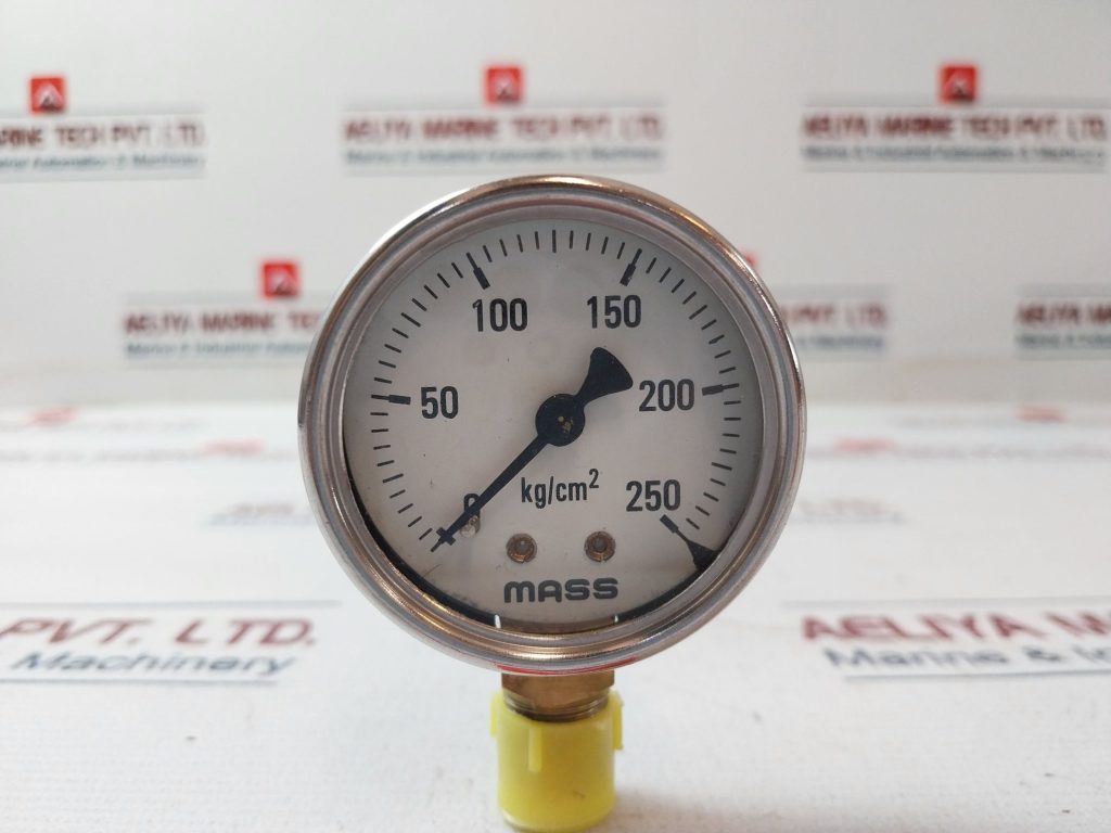 mass-0-250-kg-cm2-pressure-gauge-aeliya-marine