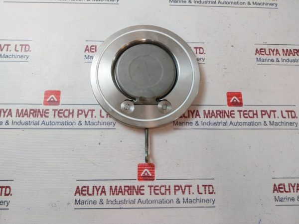 316 Dn 125 Swing Wafer Check Valve