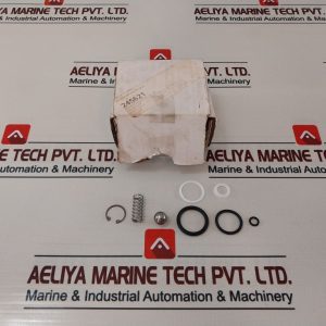 Axon 841980 Valve Repair Kit