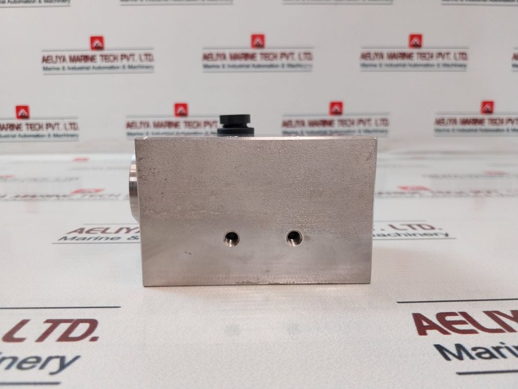 Ffs 1.4435 Differential Pressure Indicator - Image 11