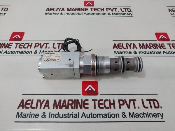 Wandfluh Pi35m-m35/55 Valve