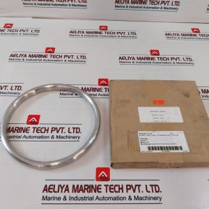 Api Spec S316-4 Gasket Ring