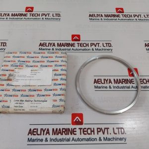 Lone Star Sealing 140170-10-01-04 Gasket Ring