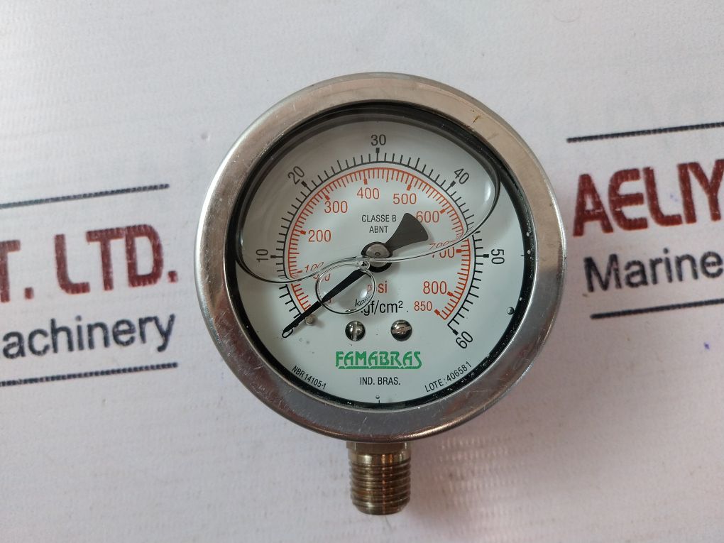 Famabras 14105-1 Pressure Gauge - Image 7