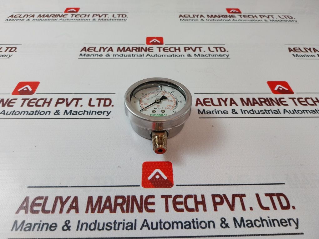 Famabras 14105-1 Pressure Gauge - Image 3