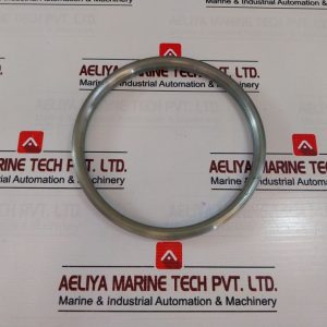 R46 Dgbj Gasket Ring