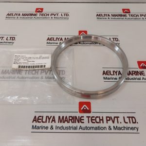 Lamons Asme B16.20 Ring Gasket