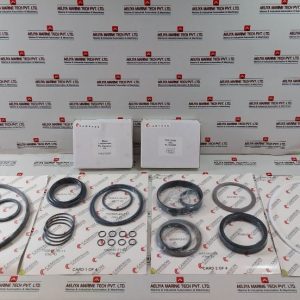 Cameron 2163135-01 Seal Repair Kit With St Lock