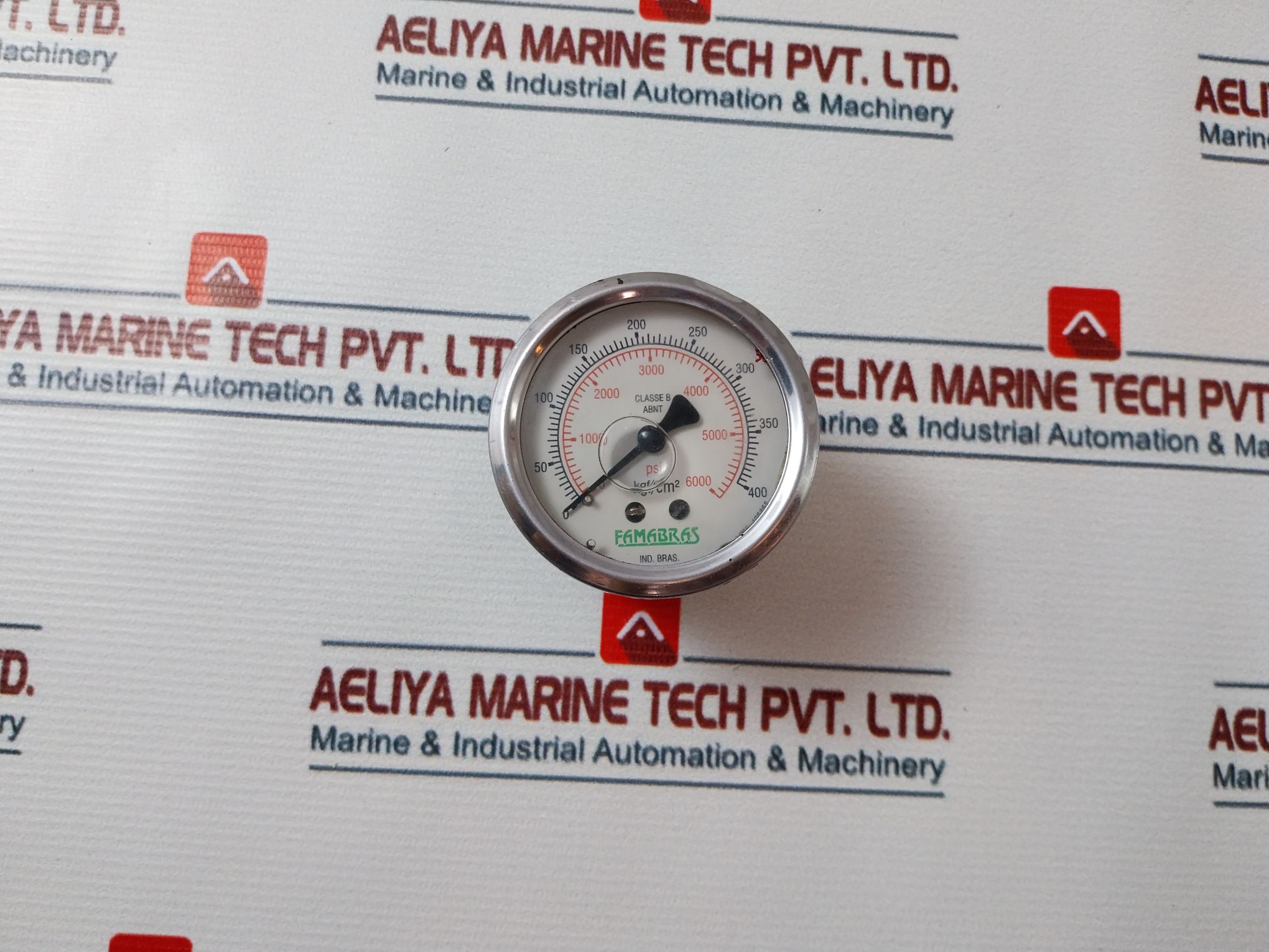 Famabras Nbr 14105.1 Pressure Gauge