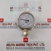 Tess En 837.1 Pressure Gauge