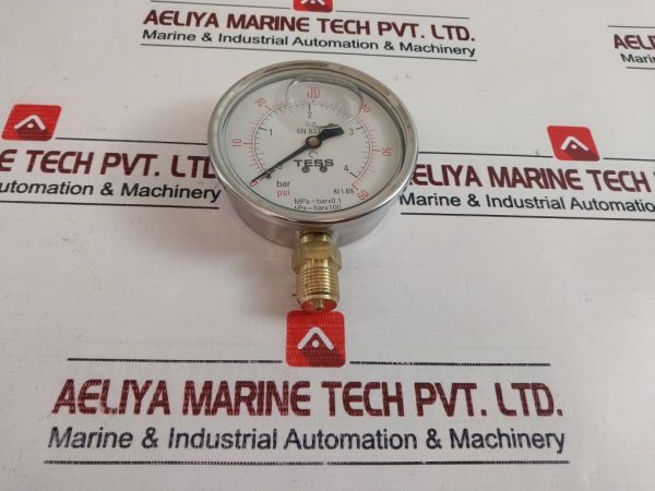 Tess En 837.1 Pressure Gauge