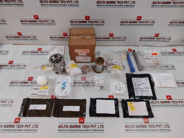 Wsi 100819rk Valve Repair Kit