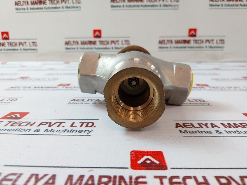 End Armaturen 1.4408 Brass Regulator For Stainless Valve - Image 5