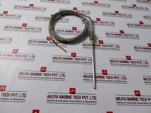 Endress+hauser Tsc310-bebj228j Thermocouple Cable Probe