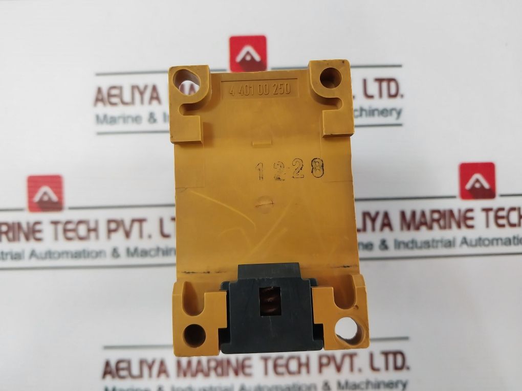 Schiele Ern Response Delay - Image 5