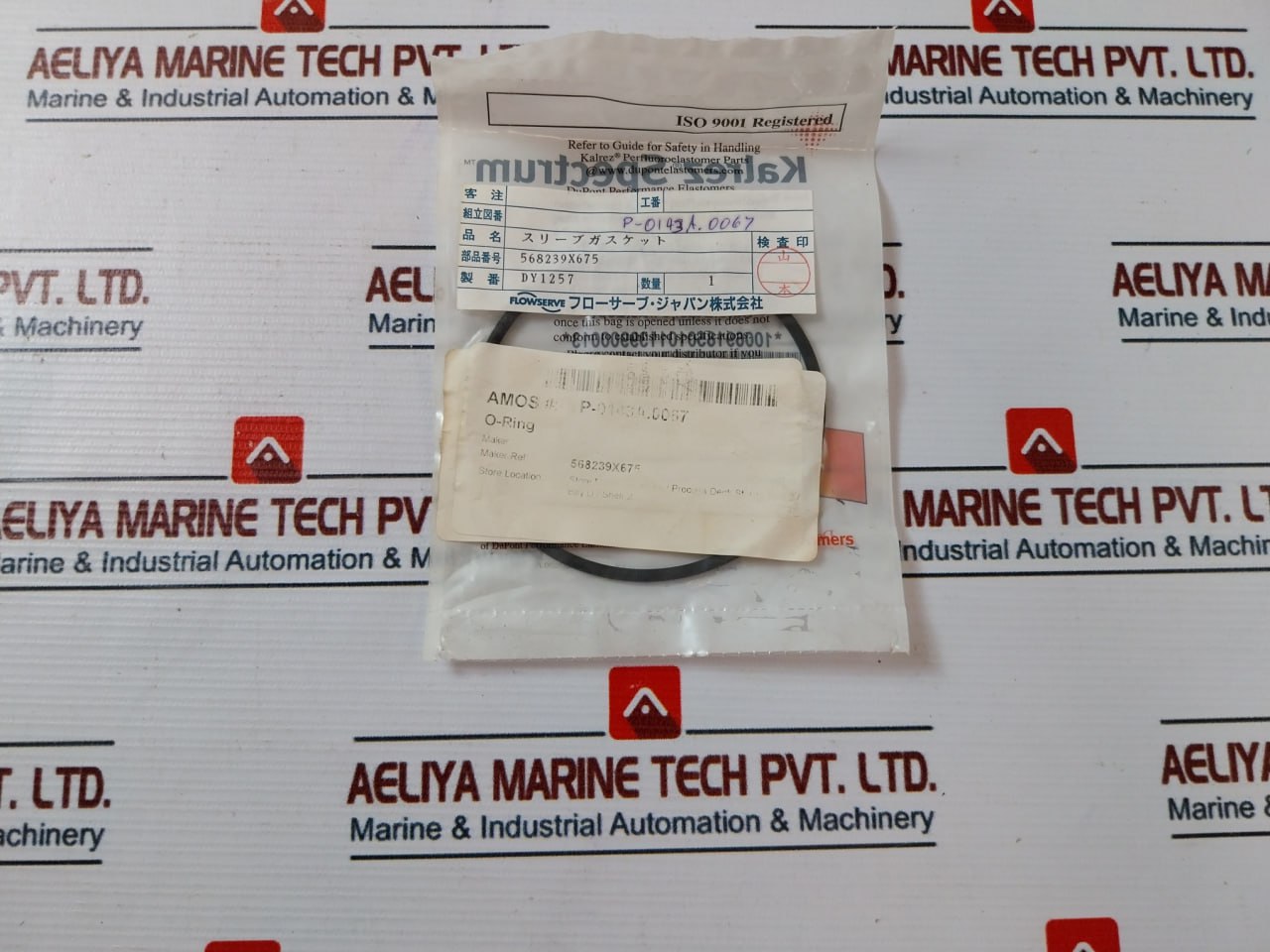 Flowserve 568261x675 O-ring Kit - Image 4