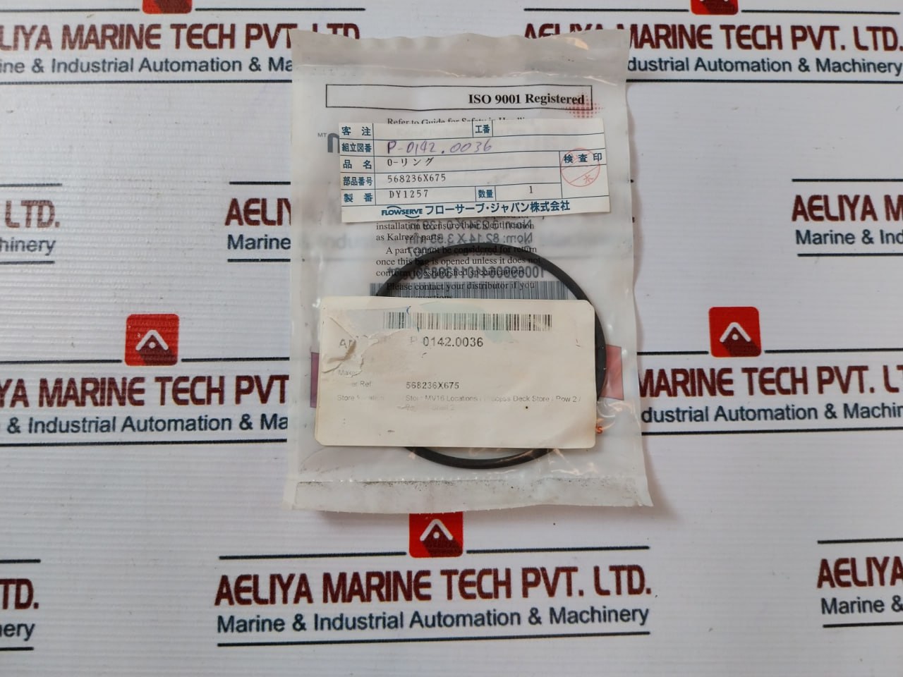 Flowserve 568261x675 O-ring Kit - Image 19