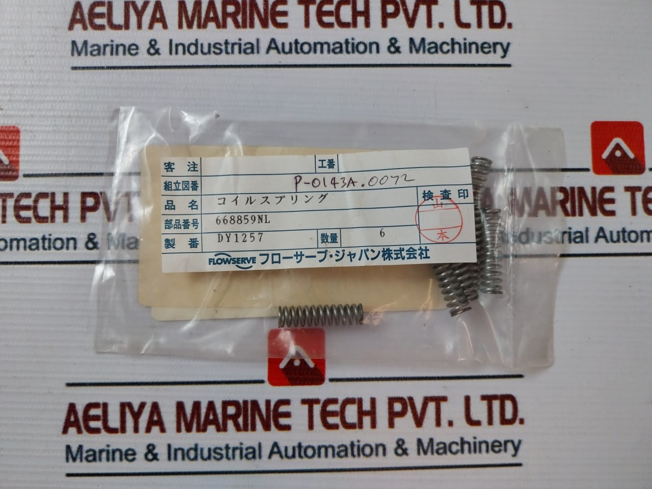 Flowserve 568261x675 O-ring Kit - Image 17