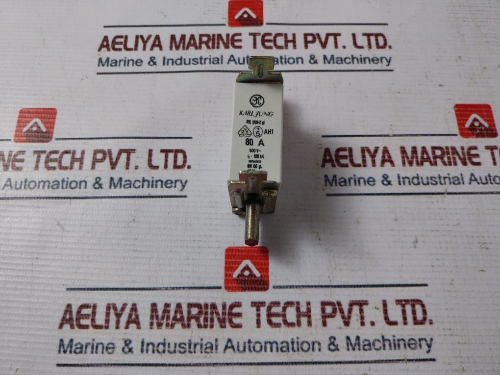 Karl Jung Iec 269-2 Gl Fuse 80a